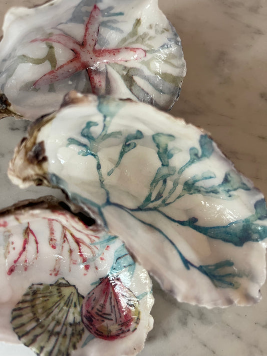 Handbewerkte Oesterschelpen – Coastal Decor Set van 3