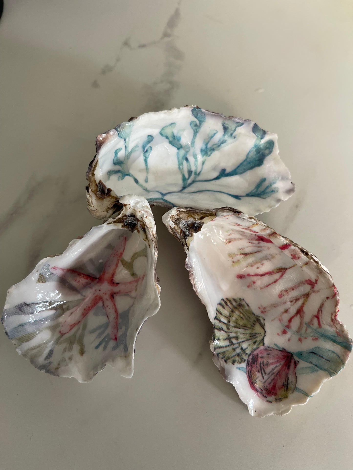 Handbewerkte Oesterschelpen – Coastal Decor Set van 3